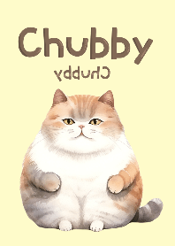 My chubby cat