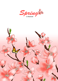 Season series - Spring sakura (Pink)