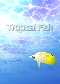 Tropical Fish