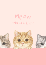 Meow - Munchkin - FLOWER PINK