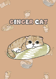 gingercat11 / burly wood