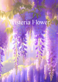 "Wisteria flower vol.12" theme