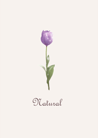 Served with a light purple tulip1.
