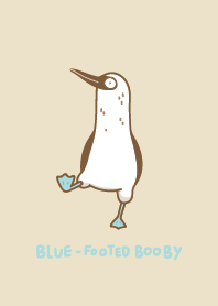 blue-footed booby !!