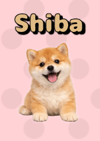 Shiba Inu Plush Theme Pink 02