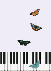 Butterfly on the Piano18