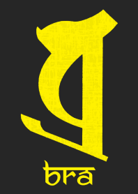 BONJI [bra] BLACK YELLOW (0114