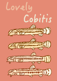 Lovely Cobitis