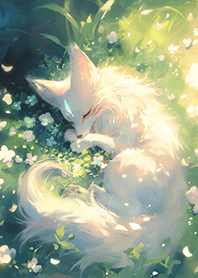 ✨夢幻の森林白狐狸❤️