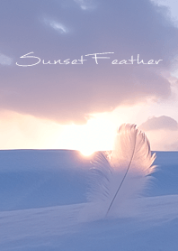 Sunset Feather