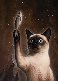 Starry Sky Mystery-Cat 1G