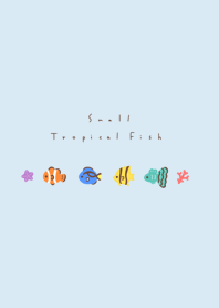 熱帶魚 /blue white