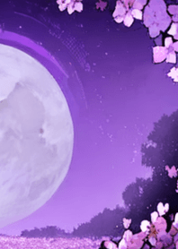 Moonlight Night Sakura#CC015