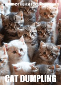 Cat dumpling 21
