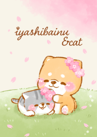 iyashibainu & cat 1