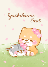 ❤️いやしばいぬと猫❤️