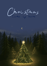 fourteen : christmas time is here
