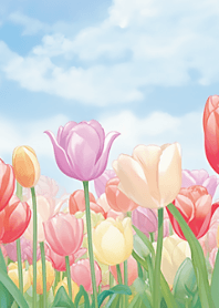 romantic tulips