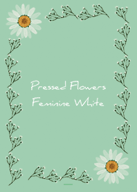Mint green : Feminine pressed flowers