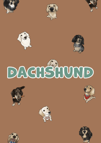 dachshund6 - dark caramel .jp