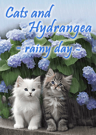 Cats and Hydrangea - rainy day - blue