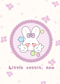 Little rab bit, ham2