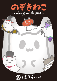 Cat staring at me@Halloween