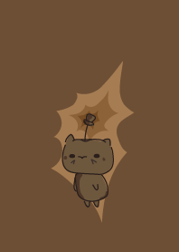 cat staring -26