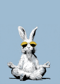 Carrot Enlightenment X