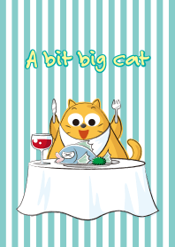 A bit big cat
