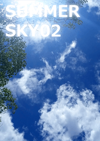 SUMMER SKY-夏空02