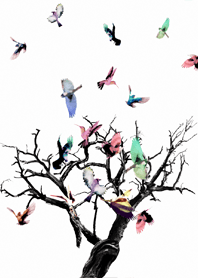 トリノキセカエ