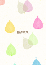 A leaf Stack Colorful7 from Japan