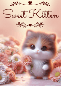Sweet Kitten No.42