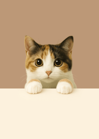 三毛猫｜シンプルなベージュ.Vol.4