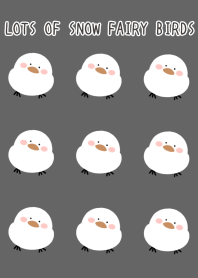 LOTS OF SNOW FAIRY BIRDS-BLACKj
