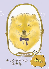 チャウチャウの茶太郎