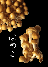 Mushroom likes to you "Nameko"