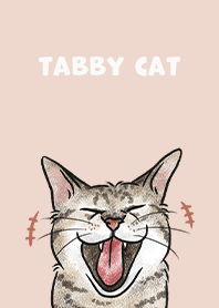 tabbycat4 /sea shell