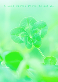 5-leaf clover Photo #3-2Not AI