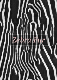 Zebra Fur 56