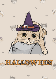 meow's halloween / almond