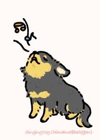 Singing Dog-Chihuahua(black&tan)-