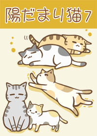 sunny spot cats 7