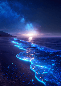 ✨夜光海灘の奇幻景象❤️
