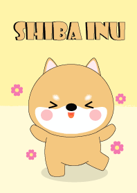 Cute Cute Shiba Inu Theme