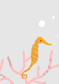 Sea dragon sea