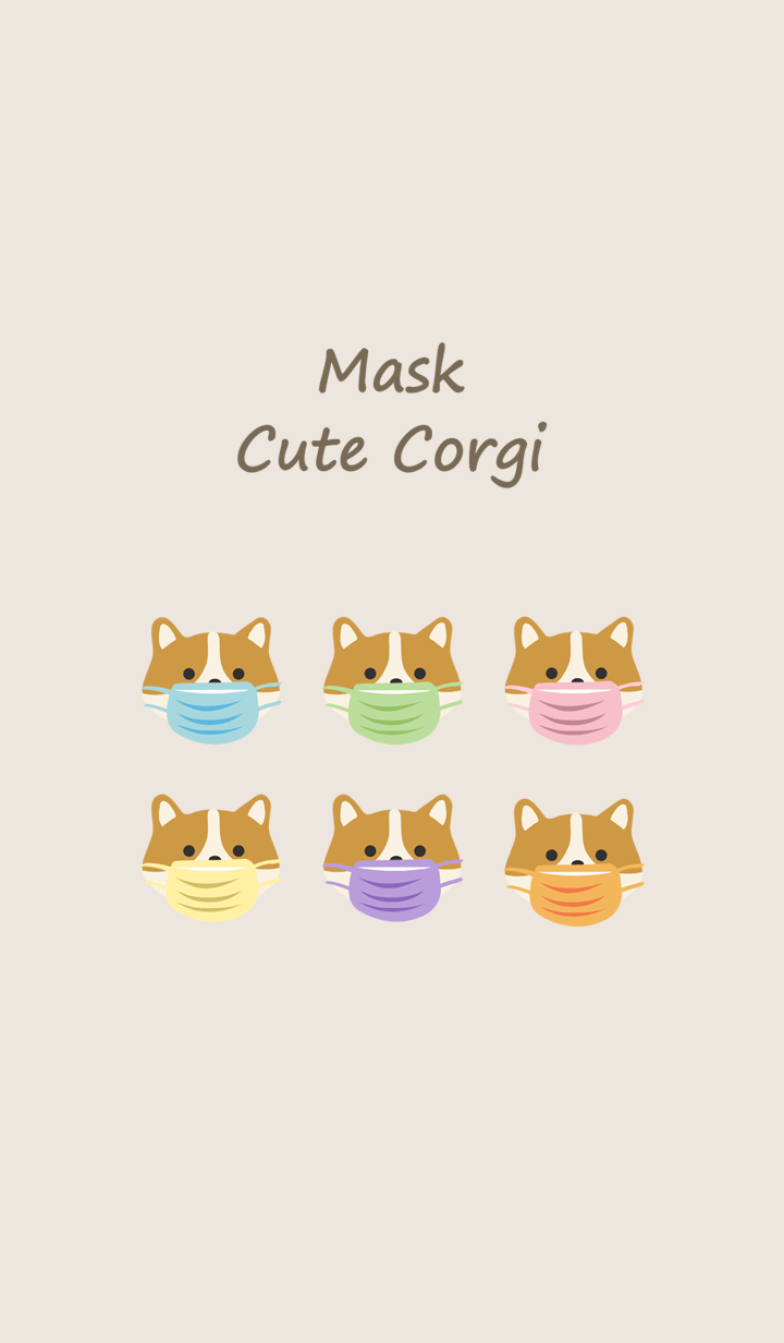 Corgi dog wearing a mask