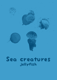 Sea crt Yacht blue