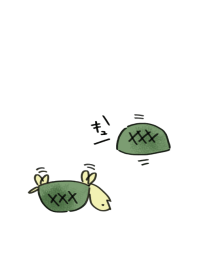 Cute turtles.